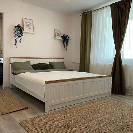 Carol Apartament'S Τιμισοάρα Εξωτερικό φωτογραφία