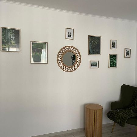 Carol Apartament'S Τιμισοάρα Εξωτερικό φωτογραφία