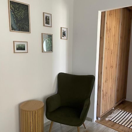 Carol Apartament'S Τιμισοάρα Εξωτερικό φωτογραφία