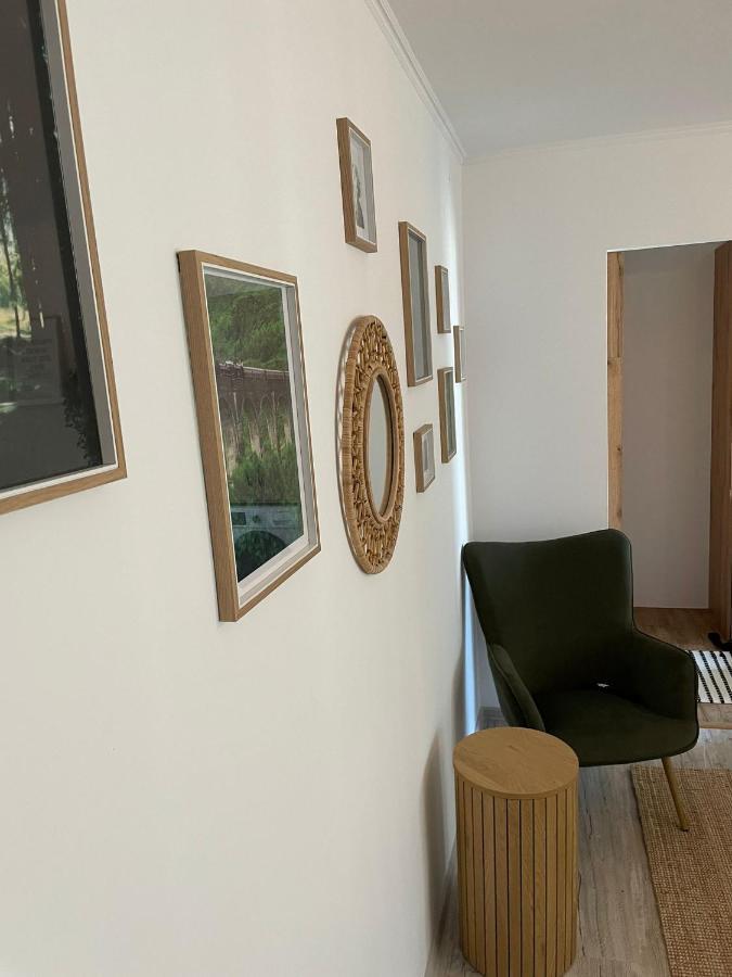 Carol Apartament'S Τιμισοάρα Εξωτερικό φωτογραφία