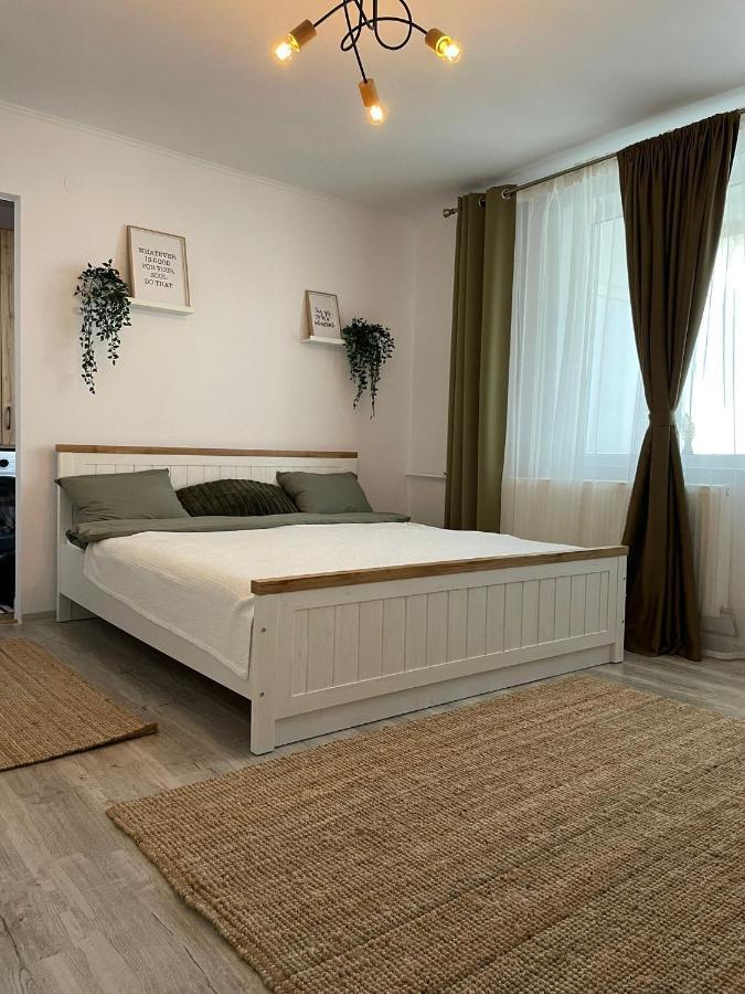 Carol Apartament'S Τιμισοάρα Εξωτερικό φωτογραφία