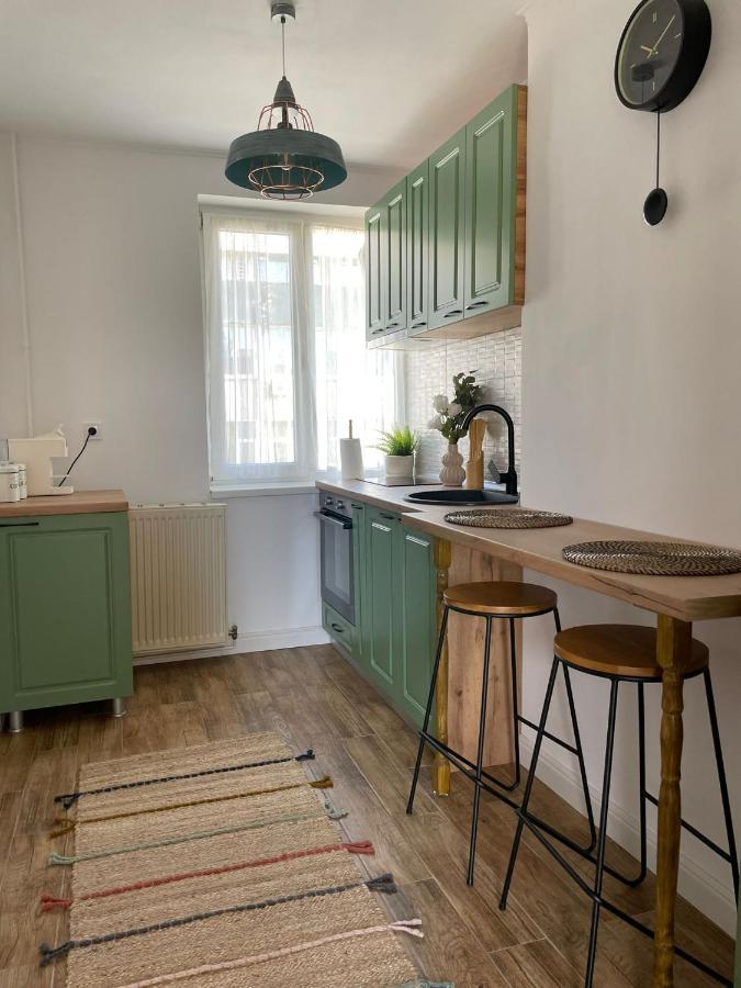 Carol Apartament'S Τιμισοάρα Εξωτερικό φωτογραφία